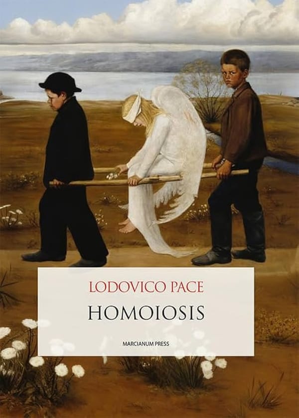 HOMOIOSIS - a proposito della nuova opera di Lodovico Pace